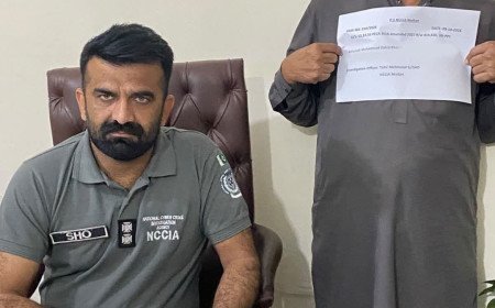 وزیر اعلٰی کے نام پر جعلی ویب سائٹ، ملزم گرفتار