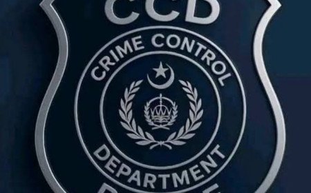 ناکے لگا کر لوٹنے والے گروہ کا سرغنہ گرفتار