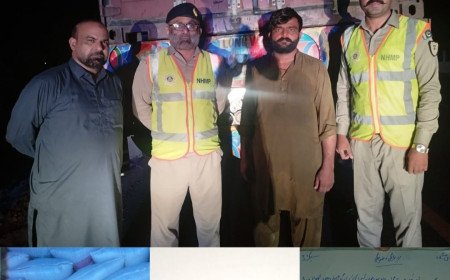گندم کی غیر قانونی ترسیل پکڑی گئی